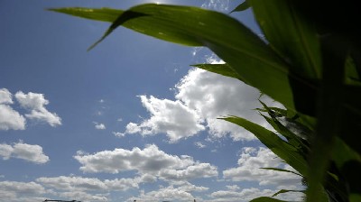 American Ethanol's rise can mean loss of hunting lands